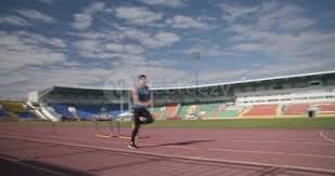 《动物森友会》免费更新即将上线 新增度假酒店玩法